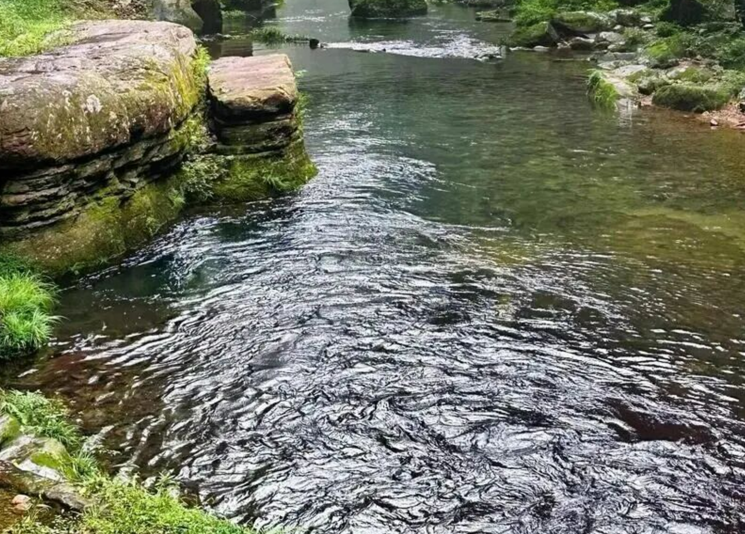 cc8cecf60d4f173dc562f3e8580fa45d