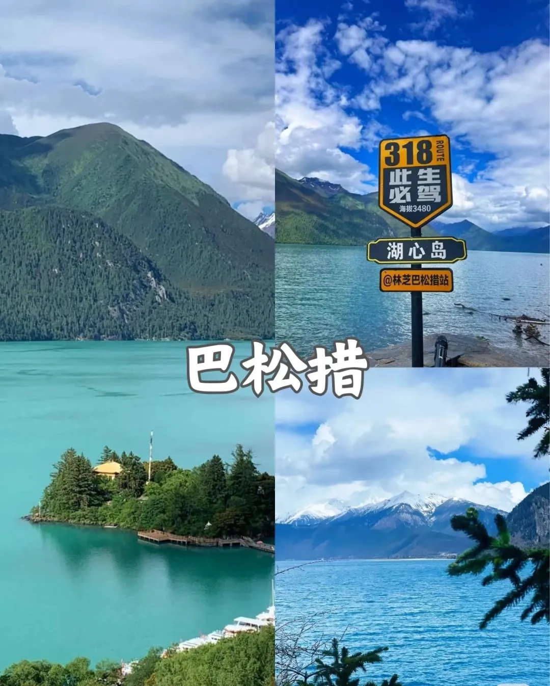 ccaf40d001b1ad7aea121428cc5ad889-sz_515243