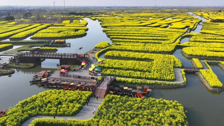 ccb5e74cb03940850f97e4aa7908cd0f-sz_3277834