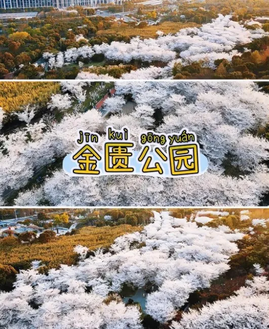 ccd4fa748225bef3b00ab3e2bee8b552-sz_184396