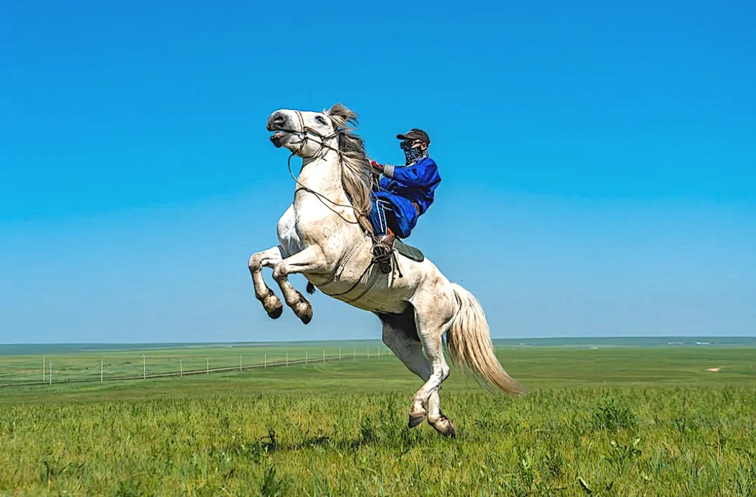 cceba012b79e8e6d4c0e3f55b9499425-sz_2357898-1 cceba012b79e8e6d4c0e3f55b9499425-sz_2357898-1