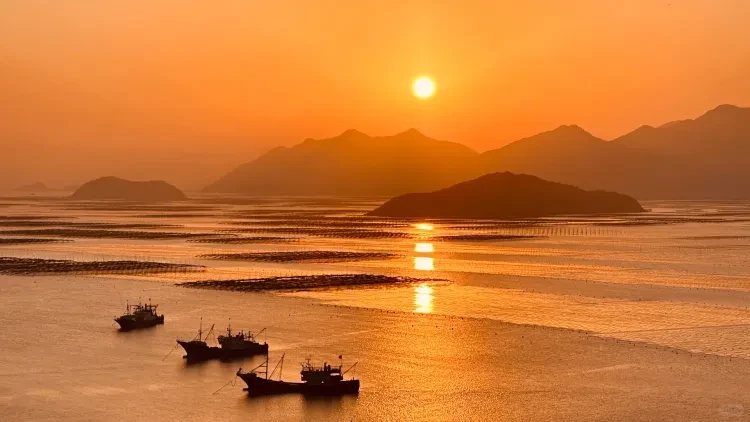 ccfd711471184a66b40f7936ac432d8b-sz_2745896