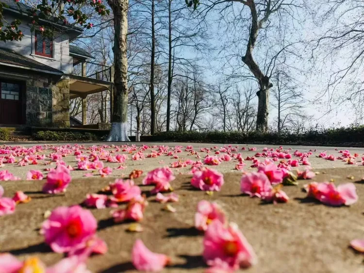 cd06043a45541b753318a5c7054dd6f1-sz_414576