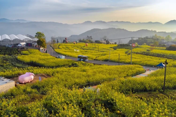 cd14e3e0d94f928c7d83912265d813ca-sz_3658972