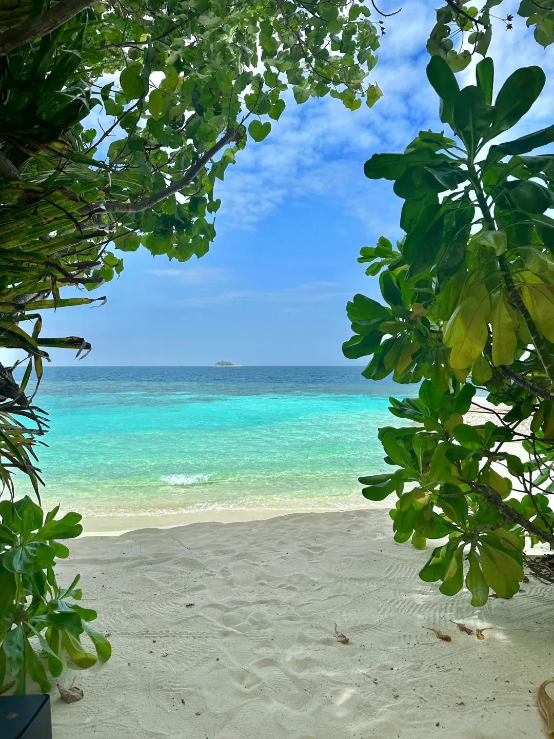 cd2f091f787c70ece76bcca6d681cda2-sz_2374189