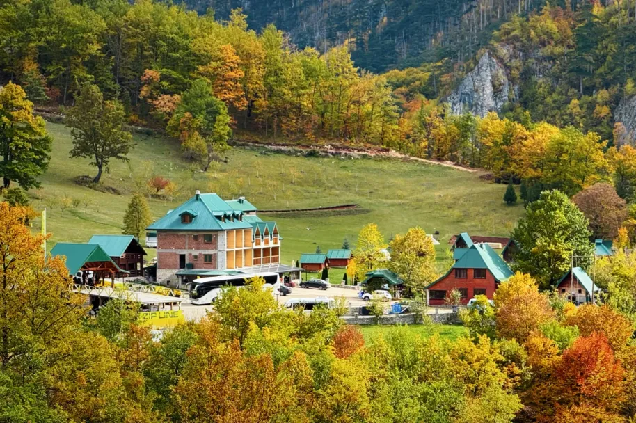 cd4f48e60a9f504045c62f9469bbbf48-sz_4604981-1