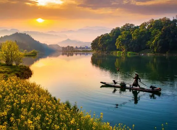 cd5a26077b2c8c1270c042f0417b0a92-sz_43607