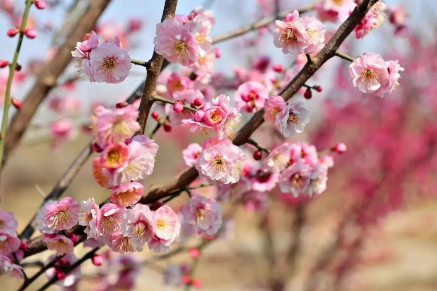 cd8e5dc65619f155dcf4d40527afe739