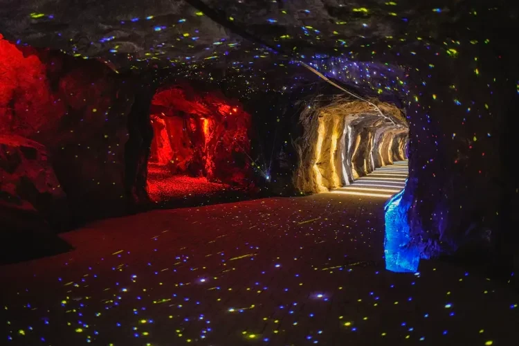 ce0e53804c57975dc6372f28b2d4403b-sz_3907977