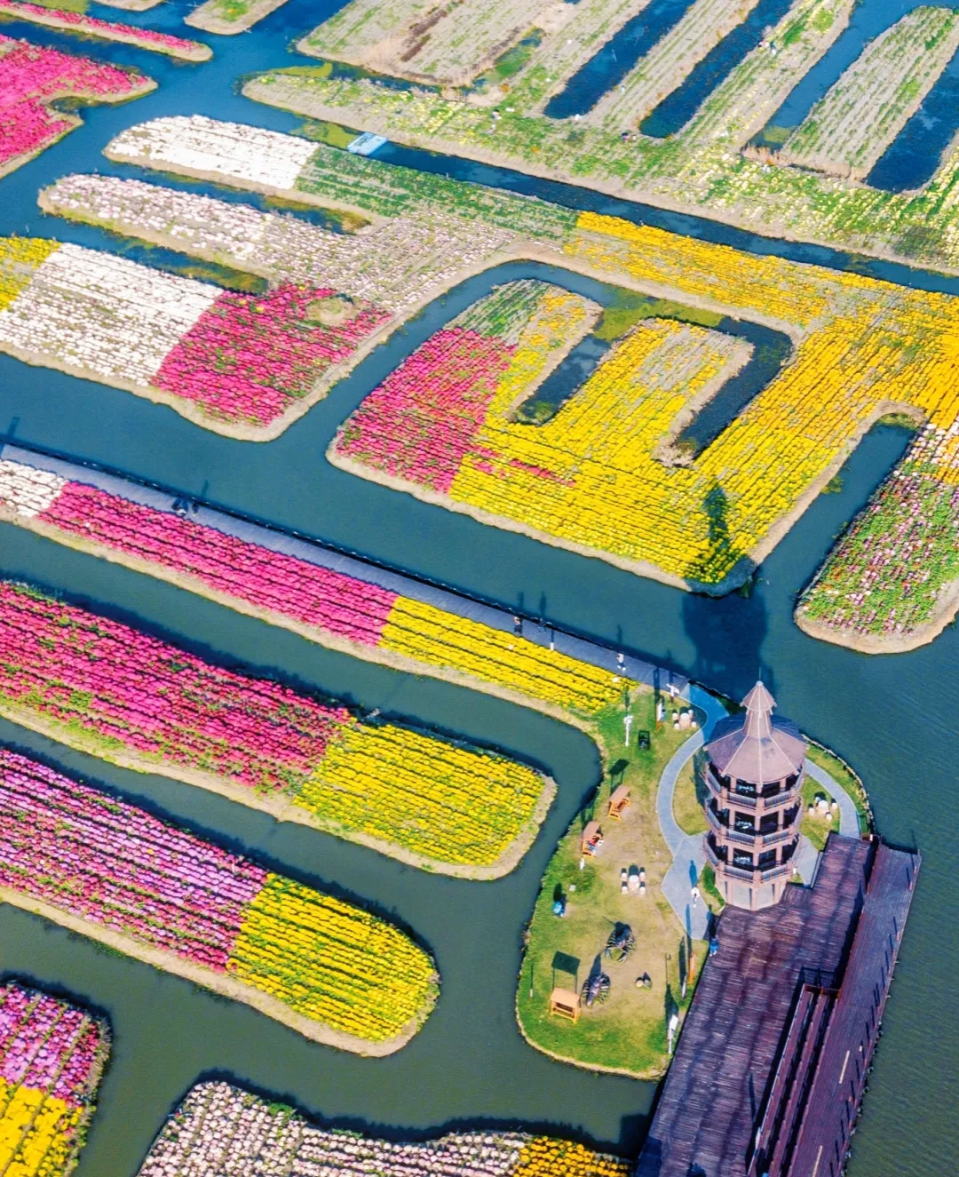 ce1cc99223ef7f9c119484a597b4c5e5-sz_2271123