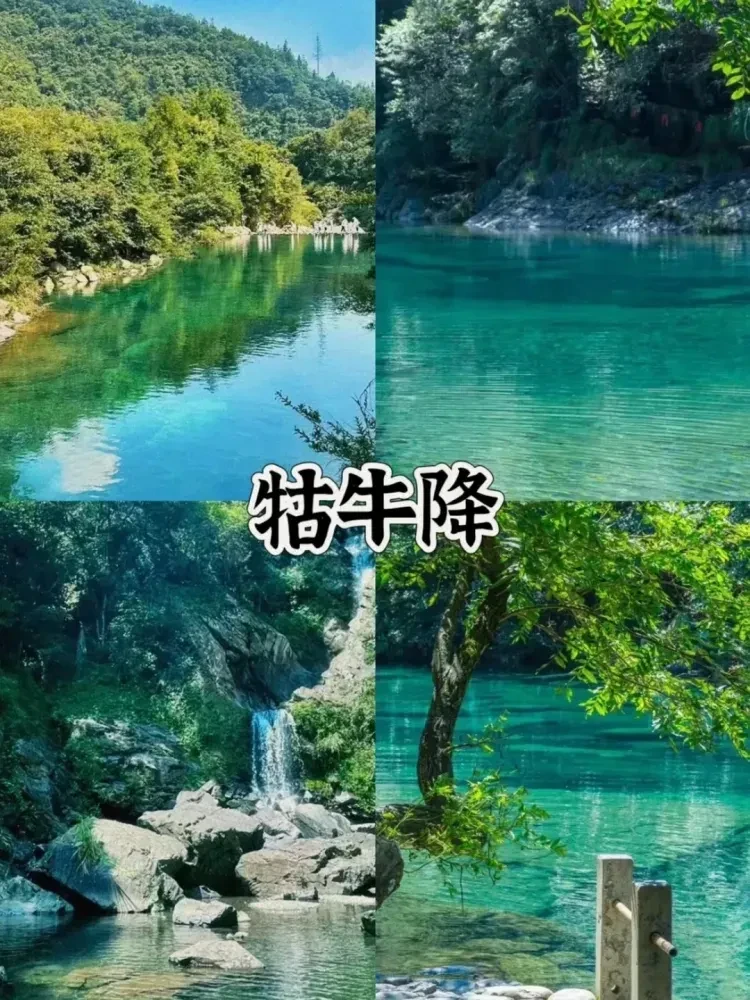 cf06ac425565b2b7d2a74a556ad3aade-sz_1918678