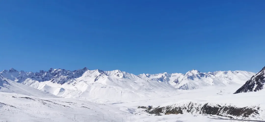 cf348fdaf36f43229d78ffe8c4e62f65-sz_368348