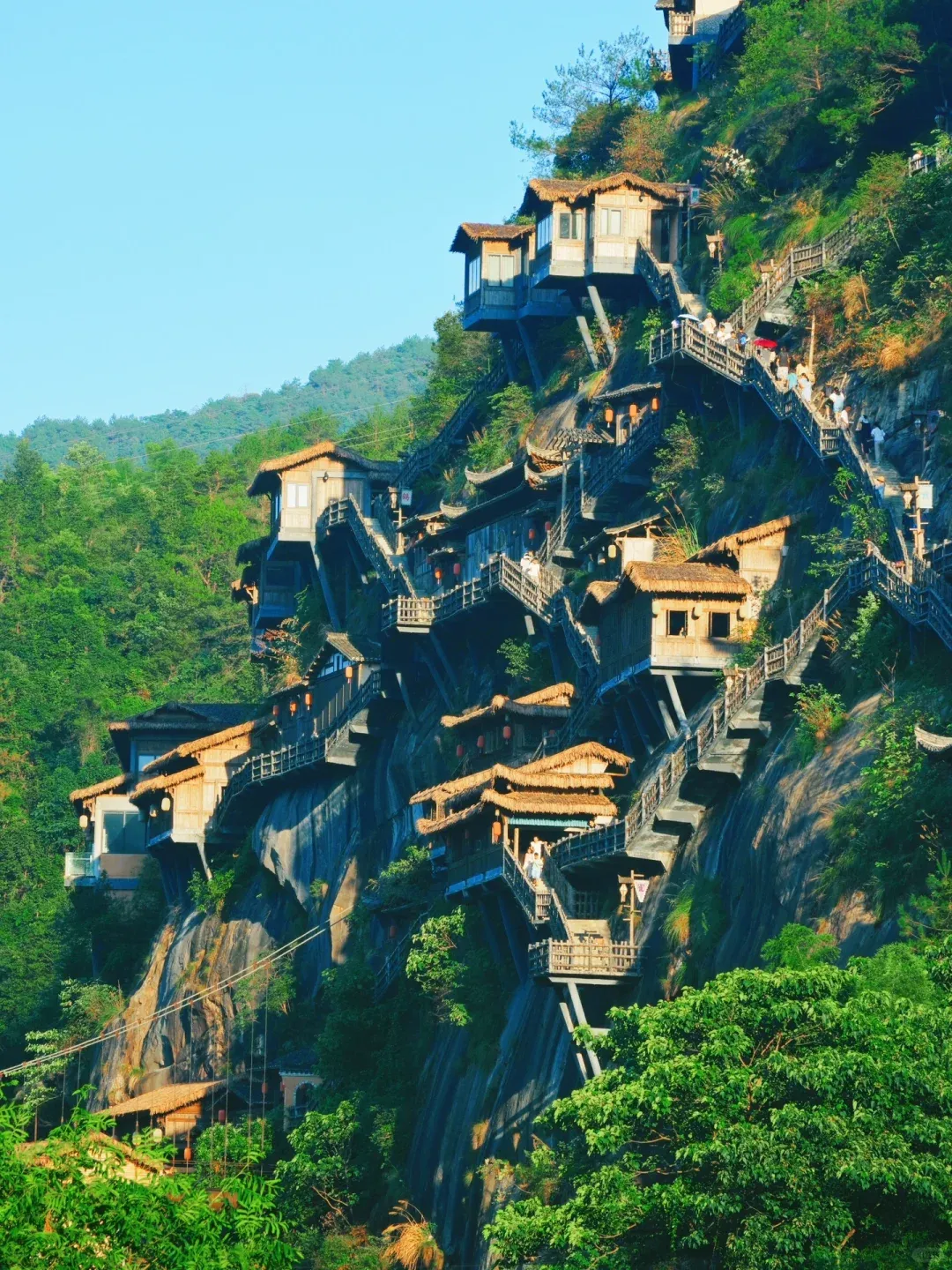 cf447c55dc561949cb0baf2f3adce7b1-sz_3372759-2