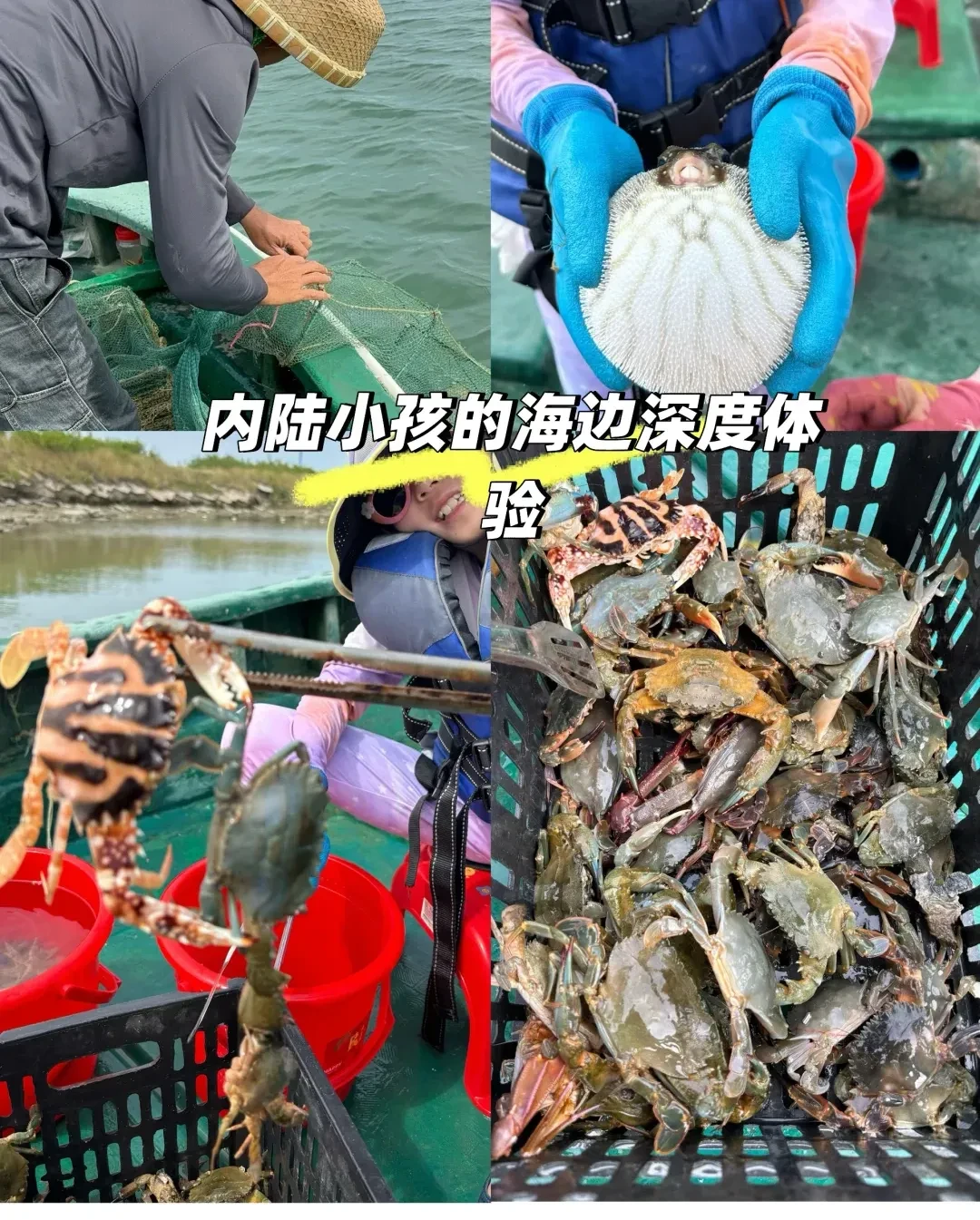 d04781c136dff0d01985ac2ef1264def-sz_3681828