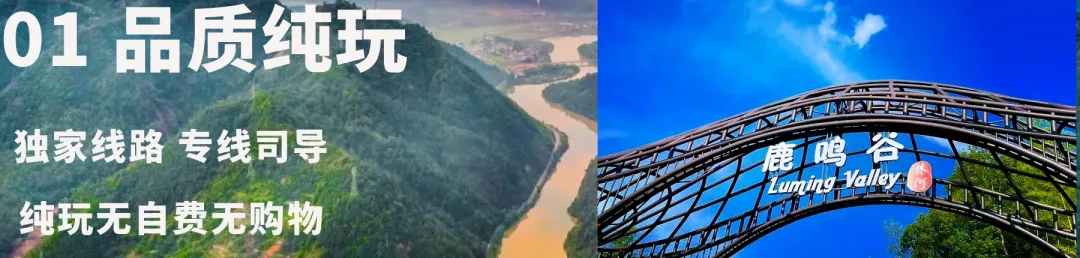 d07d8123cd58f13ea589ac0a414b59d0-sz_237492