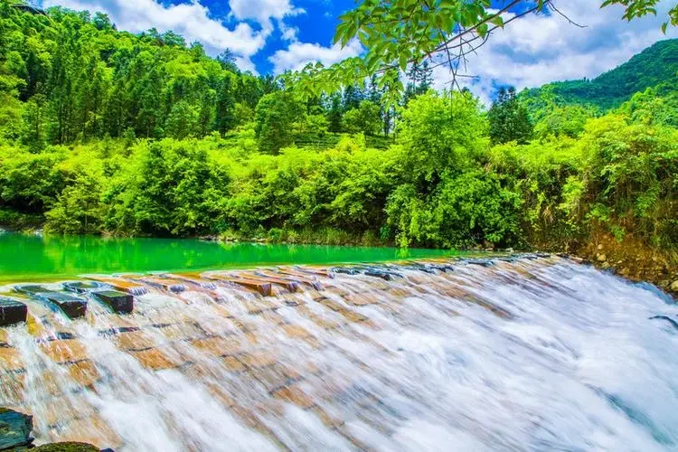 d0d827c54de9c30f6f06a1b5a413f11e-sz_107181