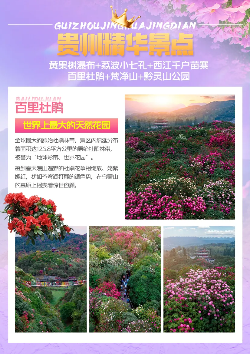 d166bd595e6941ff3c5f4d5ef3ea47ca-sz_3869866 d166bd595e6941ff3c5f4d5ef3ea47ca-sz_3869866