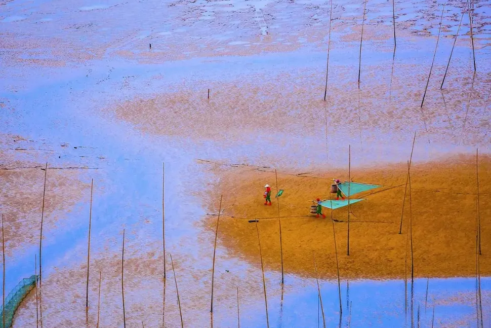 d19485431688fa3a6c5372838396153c-sz_1890093