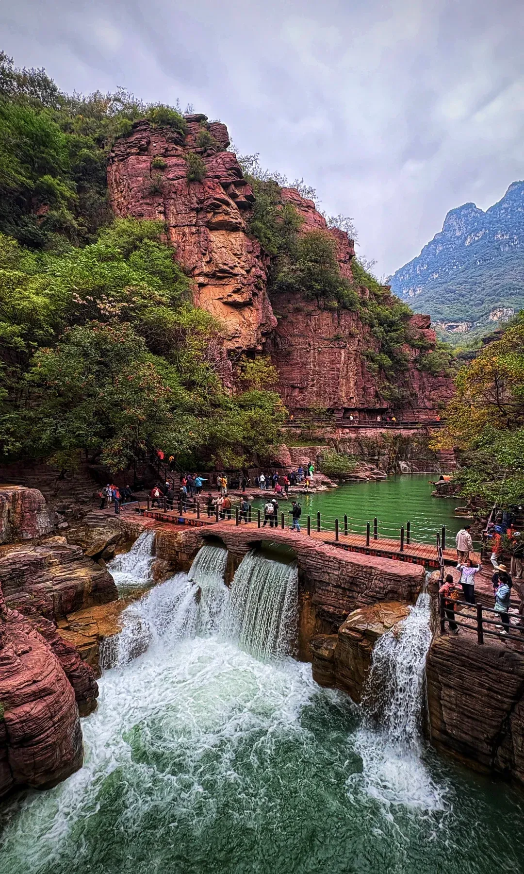 d1b392836b7369e26eb469d41419e476-sz_4023385