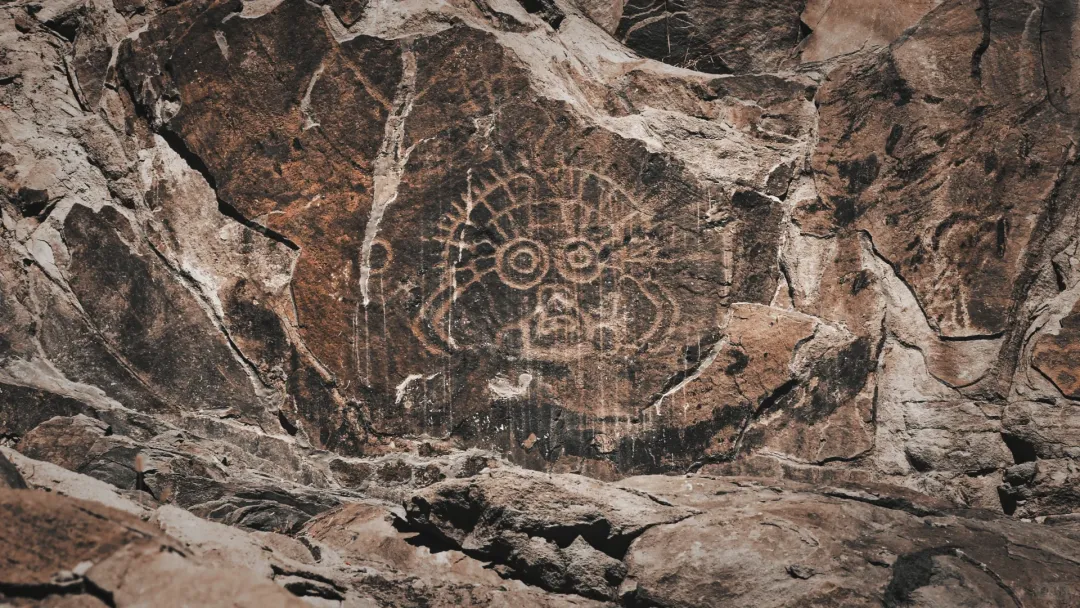 d1d1d2cd564efc4d2e068e9e04ea2e76-sz_4671182