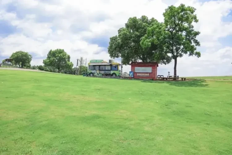 d211685a000fff34cabc230dcae87c92-sz_114003