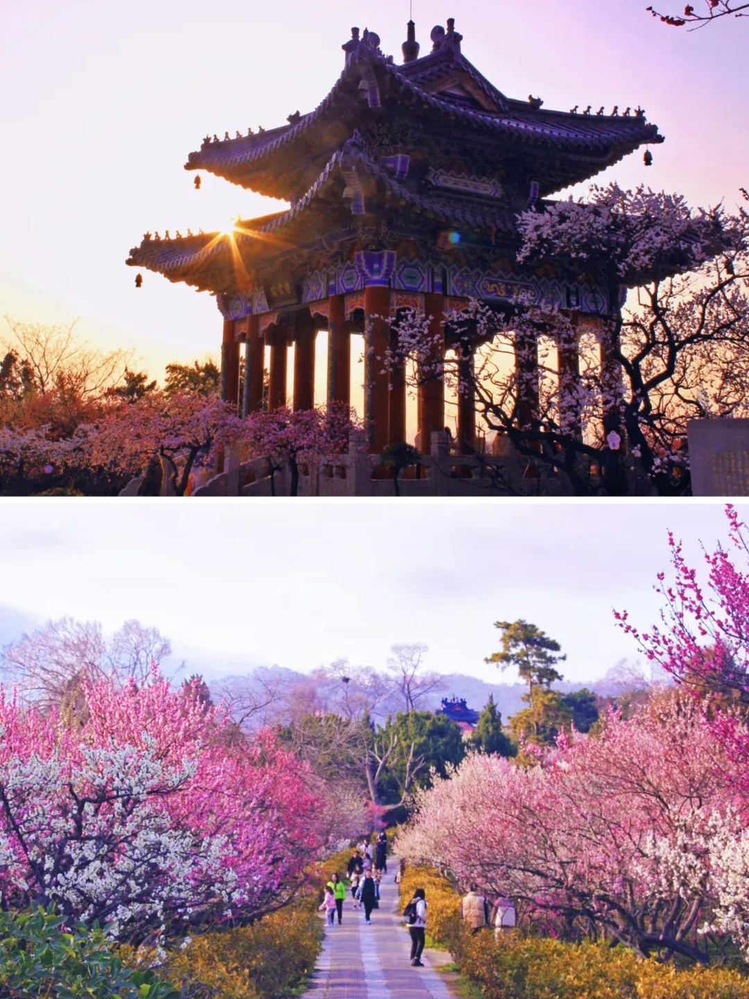 d211a4b819d09adffbcfff8904a93e9f-sz_2313299