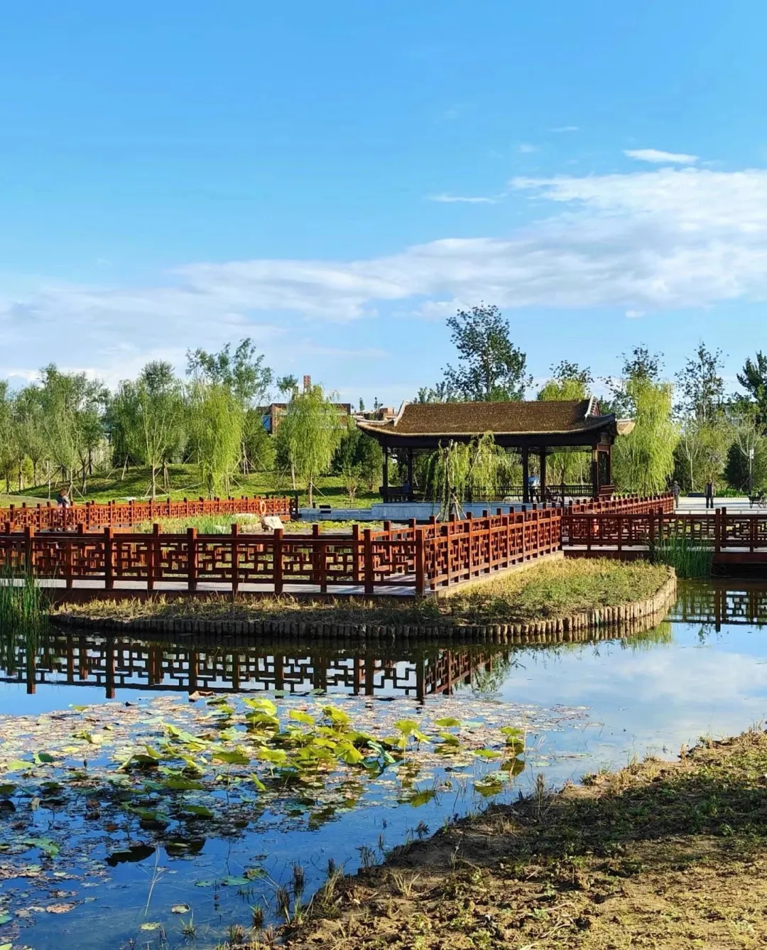 d2251389486488868a71f7c4225fd7df-sz_496042