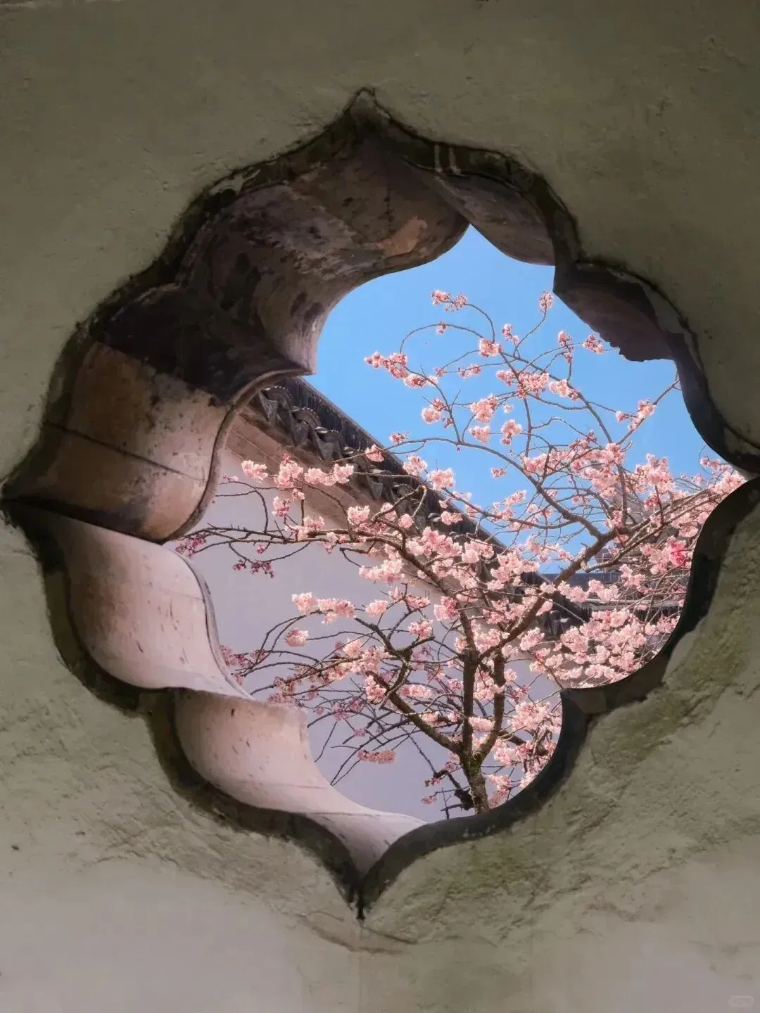 【苏州丨金鸡湖凯宾斯基大酒店】【1-3月 升级湖景房】顶奢五钻◆549元起◆周末不加价◆免费自助早餐+1自助下午茶+1正餐◆免费棋牌