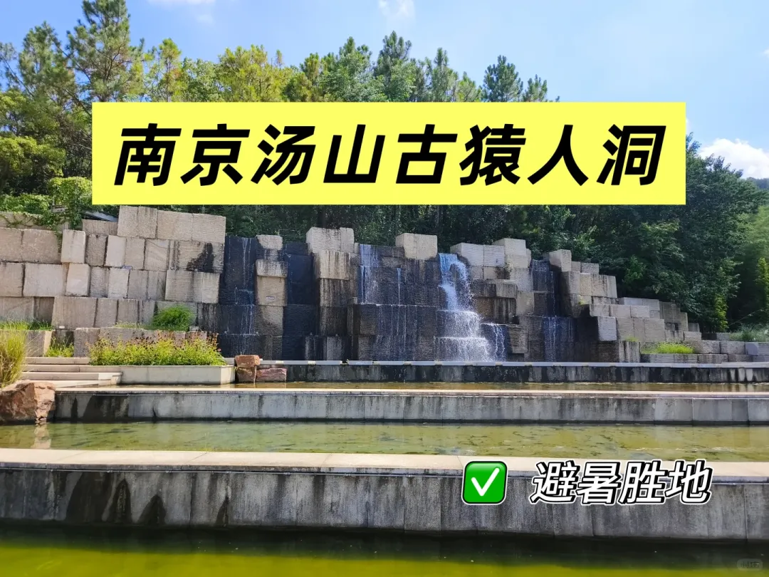 d2ec6b005ac4ec611b1b40179e10dcac-sz_2428804