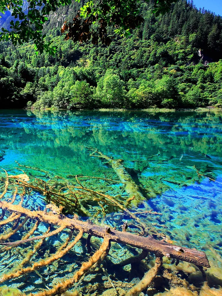 d32ad924a7a94b038b959dee06bcded7-sz_2349674 d32ad924a7a94b038b959dee06bcded7-sz_2349674