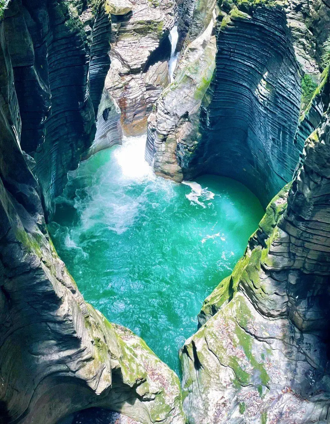 d3560c4a2c6af9757d5c309f9a37ea56-sz_349113-1