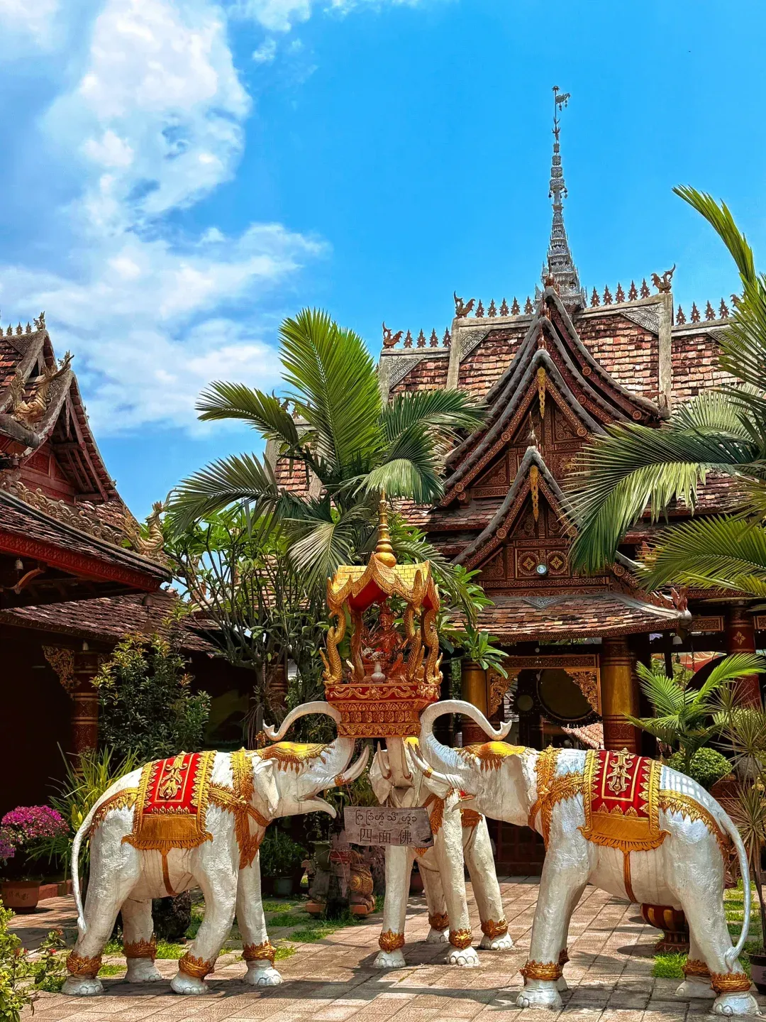 d393c0a9e2792f6b1114a7f78539c92c-sz_2769896