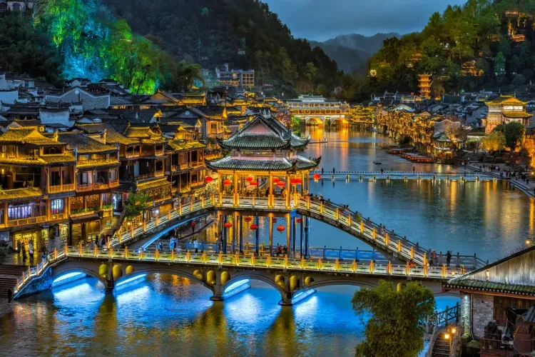 d39848a58786fb5b5a6fedae63198861-sz_1072204