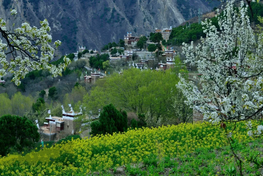 d4250a302fd23f8b228614b169e29092-sz_546753-1 d4250a302fd23f8b228614b169e29092-sz_546753-1