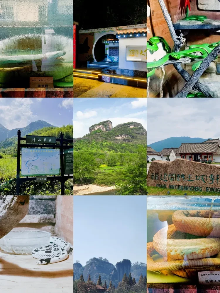 d427ef55902a8c455de3b5d1d6323254-sz_1389969 d427ef55902a8c455de3b5d1d6323254-sz_1389969