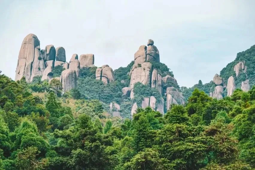 d44006bcb10a9cb71e0579ad7269a57d-sz_165435