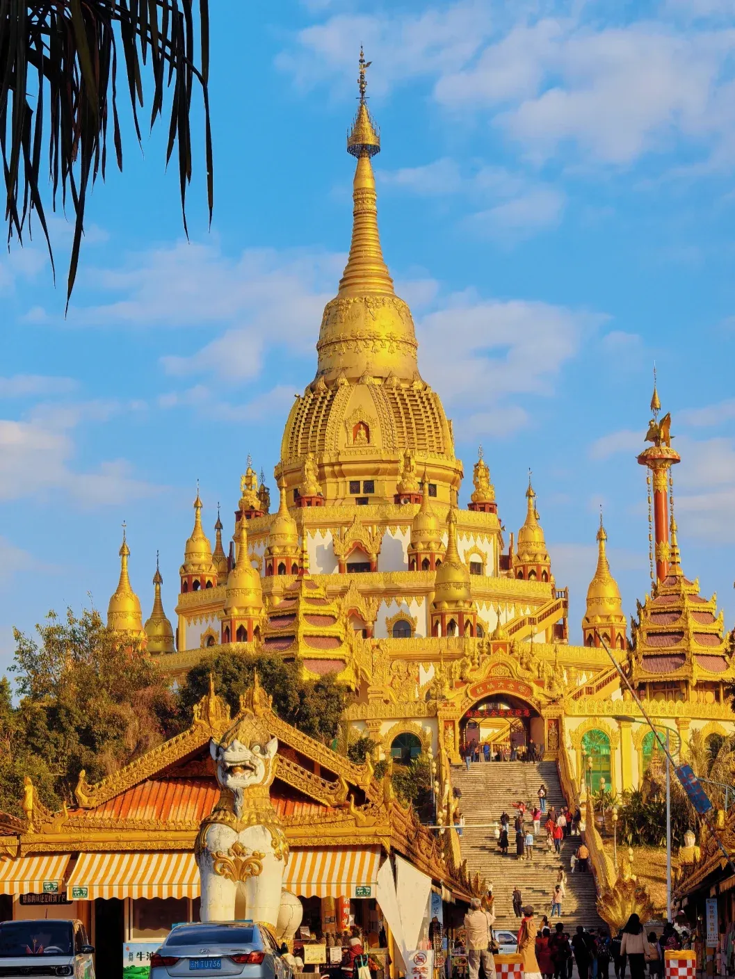 西双版纳+| 版纳+孟连+西盟+澜沧+普洱 双飞8日