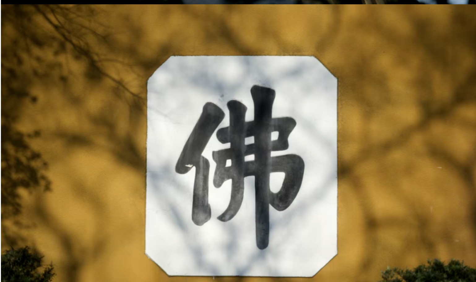 d4bb804602cf29c07fa9b1e7fdde8039