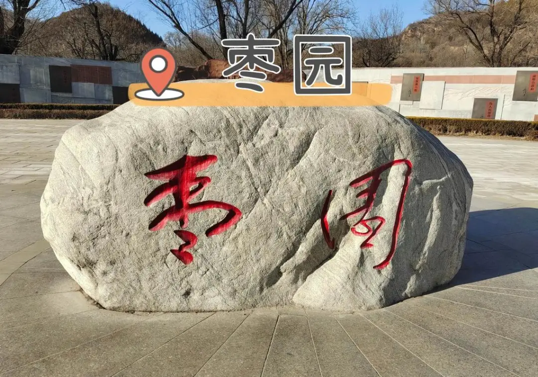 d4ca97d9ec515a9a3250d165b461a3ca-sz_241260