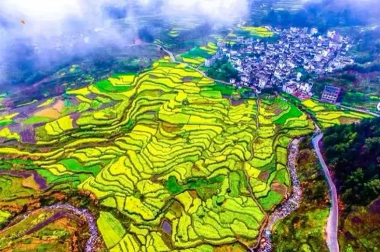 d4d74cf11c1b522df2a7aaf31ddbb34f-sz_643680-1