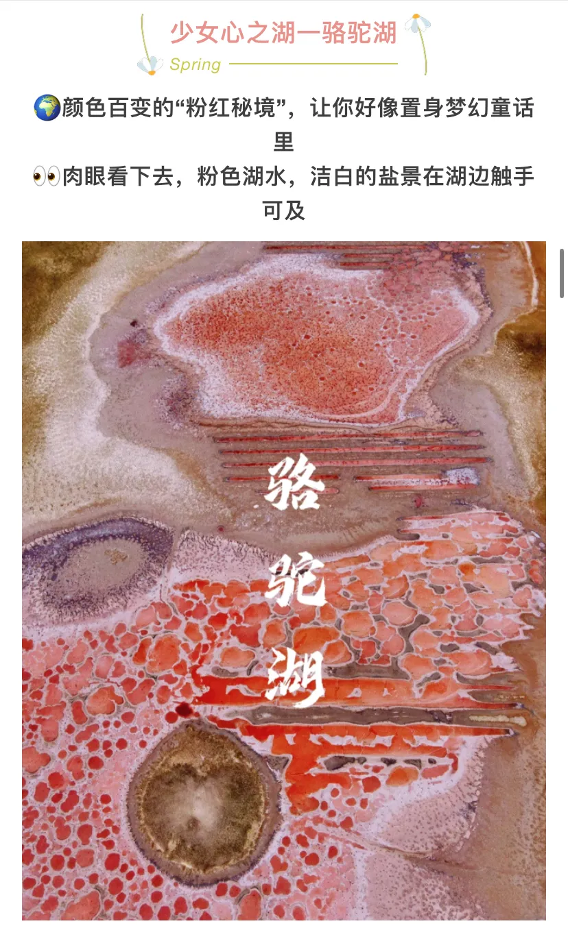 d551f5960165857e33ff9f6c7fac0bf7-sz_1153315 d551f5960165857e33ff9f6c7fac0bf7-sz_1153315