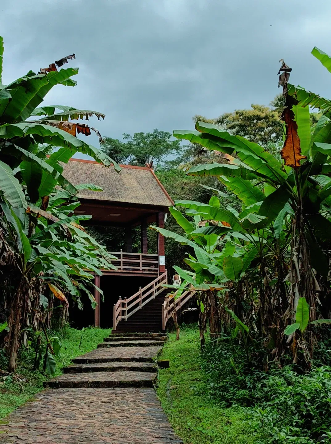 d5a4c50a72e420eb6f809a42cf92f961-sz_2437916