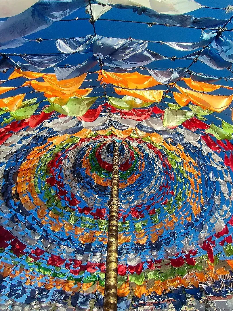 d5e8a09d330f924eb7a0122ef90d086f-sz_561294