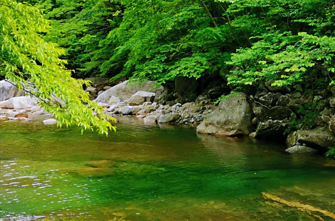 d617171e77b6c7eabd4b29aac9f96962-sz_1490027