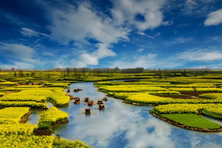 d6e6bf874df8906f40e62af5ee40821a-sz_663978