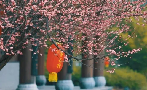 d71657cf5ebe37cb6ba1d36d03208c89-sz_392312