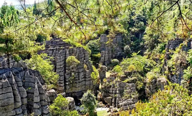 d721b455a8c66d8505cbcd4faf6f15c4-sz_132668-1