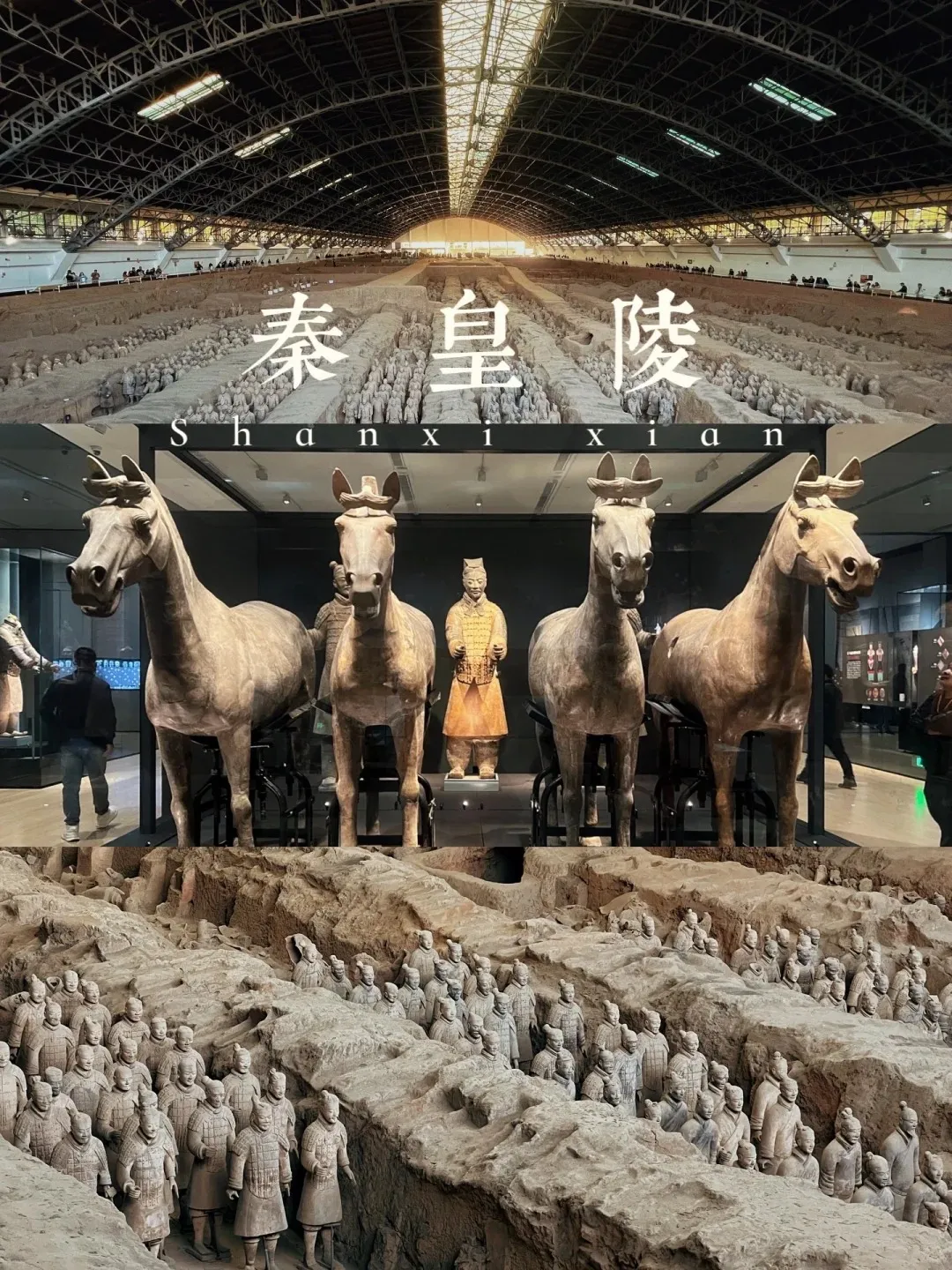 d75c67c1c033bac662462e81e9ca9042-sz_3720028-1