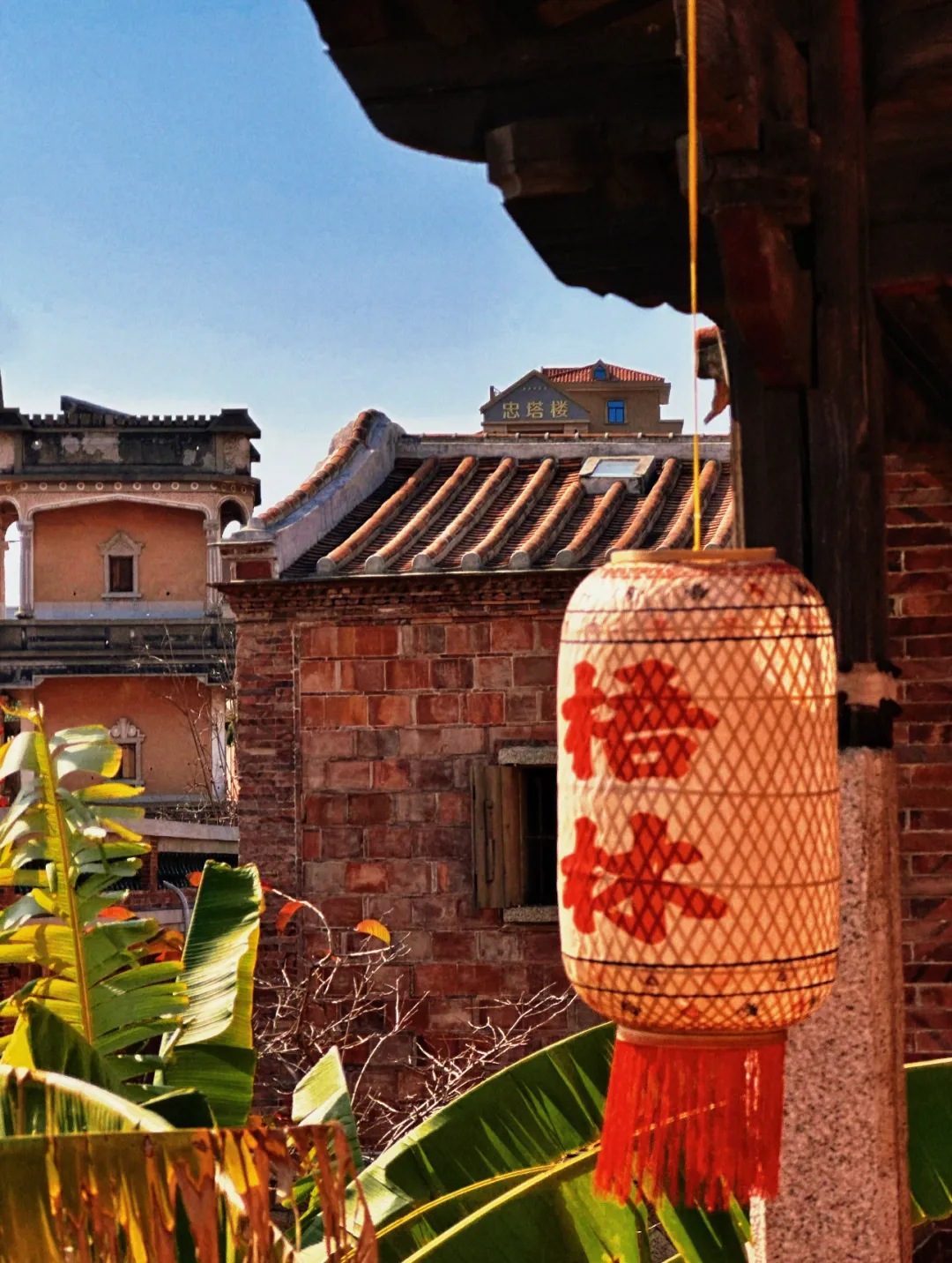 d7f1ca2bca4eeeaaab209fe8620c6295-sz_4203404