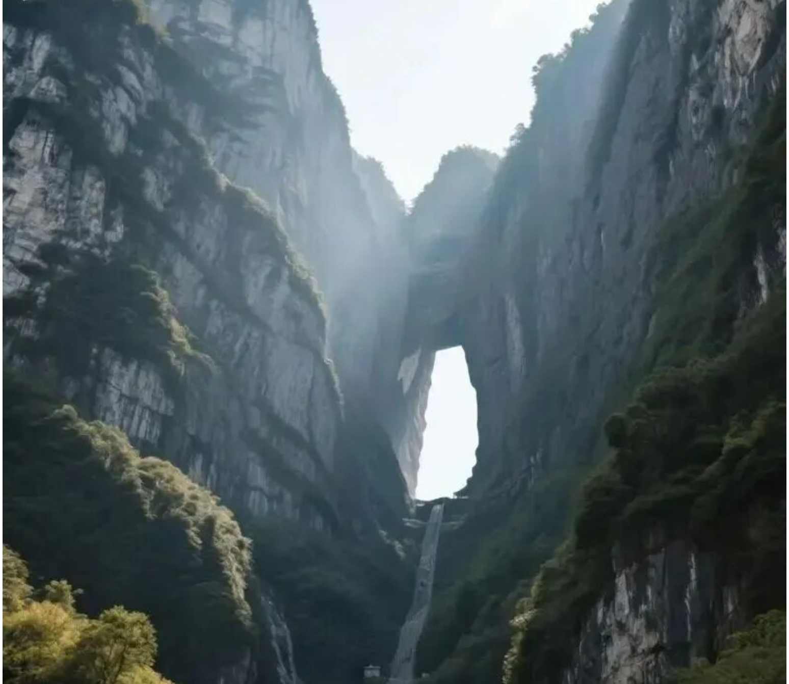 d81116de640d7fc557ec651099c6626b